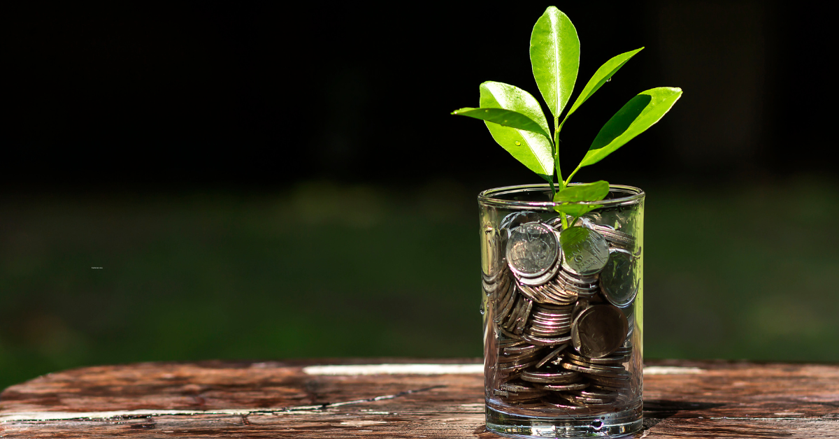 How Much does a Fractional CMO Cost (and What You Get)